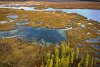 DJI_0029_2.jpg