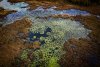 DJI_0027_2.jpg