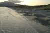 DJI_0100.JPG
