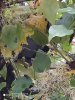 IMG_20191021_115747.jpg