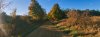 DJI_0832-cropped.jpeg