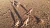 DJI_0236_Moment.jpg