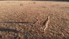 DJI_0236_Moment(20).jpg
