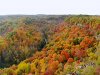 DJI_0132_mh1571535685944.jpeg