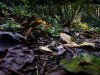 DJI_0169.jpg