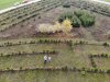 DJI_0322.JPG