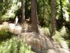 DJI_0696.JPG