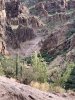 DB4091A1-4FF5-4E0D-81DE-EABB68AC009B.jpeg