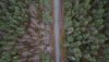 DJI_0067.JPG