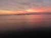 St Pete.a.11.23.19.JPG