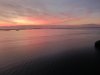St.Pete.b.11.23.19.JPG