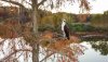 DJI_0173.jpg