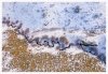 mcgee crk winter scenic-0291.jpg