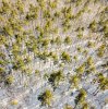 DJI_0099.jpg