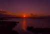DJI_013120x30.jpg