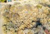DJI_0076.jpg