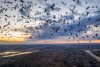 DJI_0513-2-3.jpg