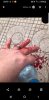 hand.jpg