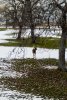 DJI_0429_edited-1.jpg