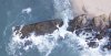 DJI_0618.jpg
