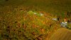 20151015-102916 DJI_0007.jpg