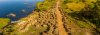 DJI_0747_medium.jpg