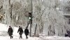 ice-storm.jpg