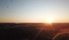 1579530280099.png