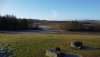 DJI_0050.JPG