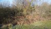 DJI_0054.JPG