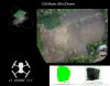 ortomosaico dji mavic mini.jpeg