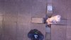 Gurguliat MP.mp4_snapshot_00.43_[2020.01.26_17.43.15].jpg