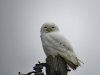 IMG_3856-1.jpg