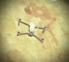 DronePic4.jpg