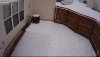 Rear Porch - 2-10-2020, 9.16.52pm.jpg