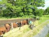 DJI_0067.JPG