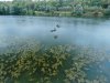 DJI_0225.JPG