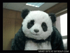 DE85EA86-068E-48D6-8FFF-B95CB8F3774A.gif