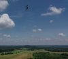 buzzard 1.jpg