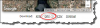 1583244881794.png