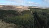 DJI_0016.JPG