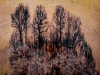 1584906432632.png