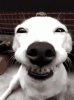 IMG_8132.GIF