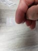 15857053202594311060664414628451.jpg