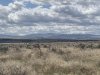 0CA0F1D7-94BA-4567-A6AB-58627E53B0E7.jpeg