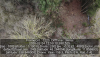 vlcsnap-2020-04-17-20h42m10s353.png