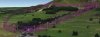 Pentlands Hill Climb.jpg