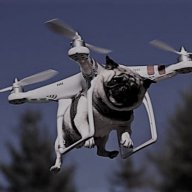 DroneCat