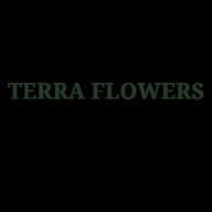 terraflowersmiami