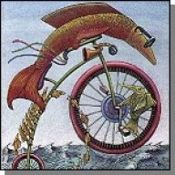 motocatfish